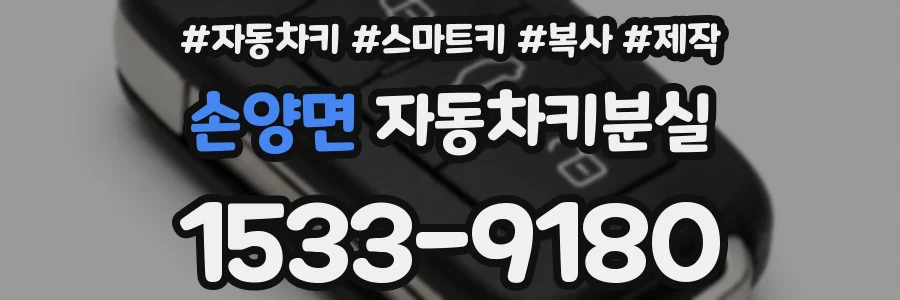 손양면 자동차키분실