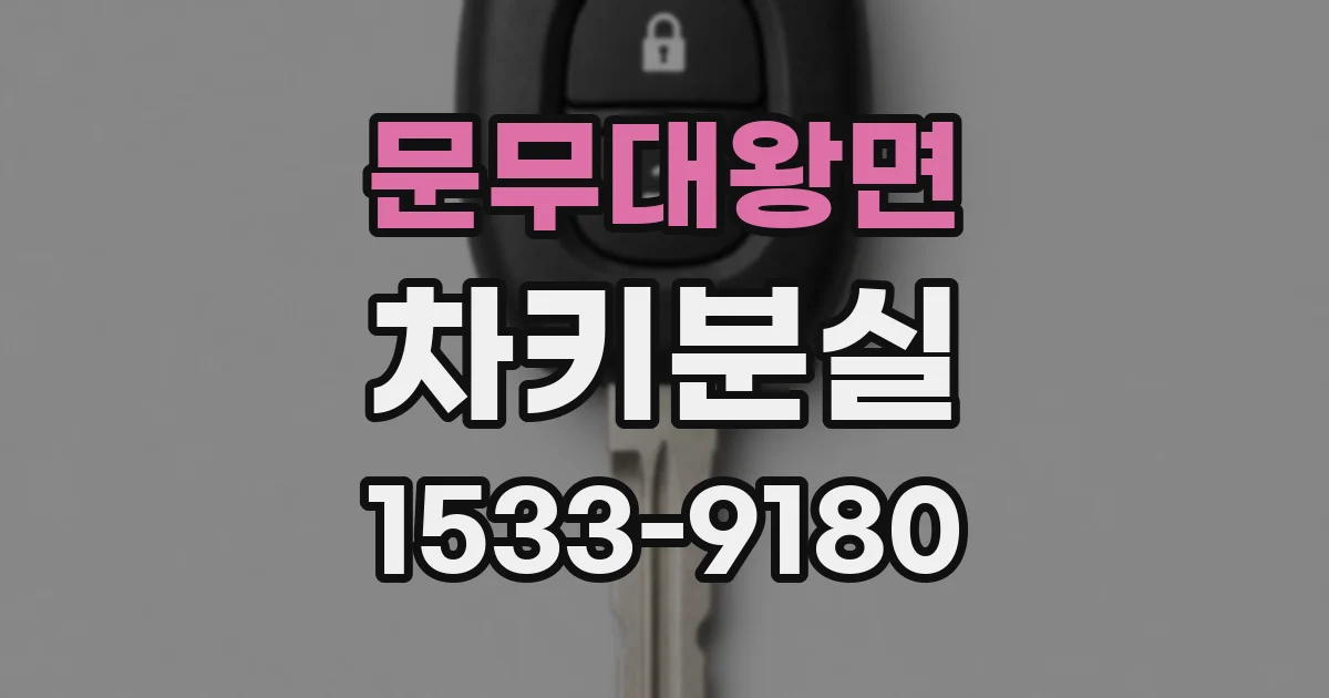 문무대왕면 차키분실