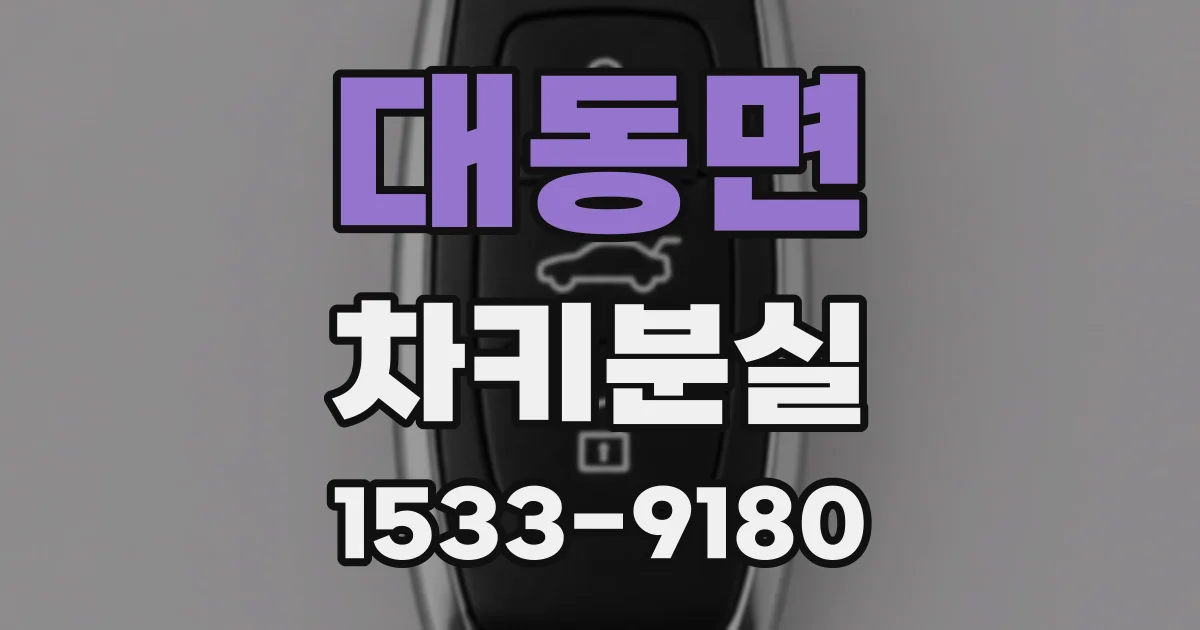 대동면 차키분실