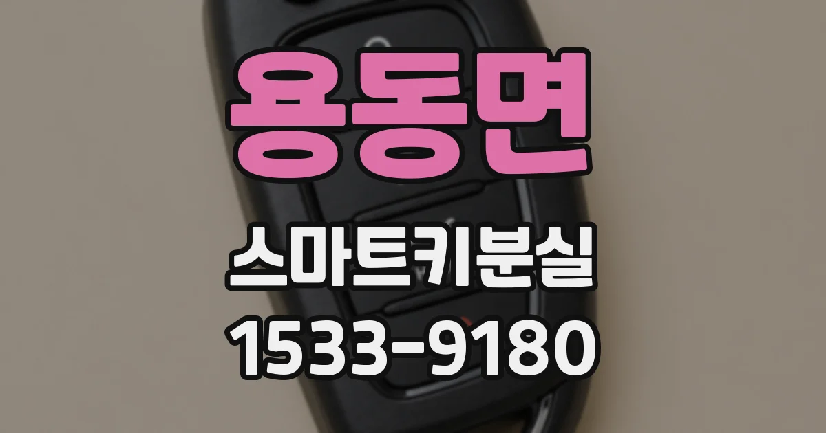용동면 스마트키분실