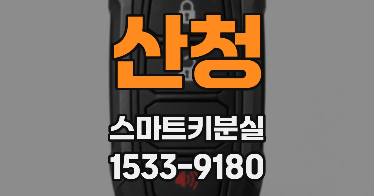 산청 스마트키분실