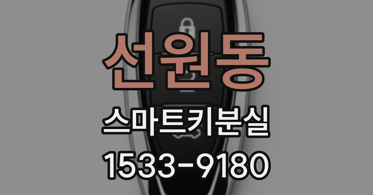선원동 스마트키분실