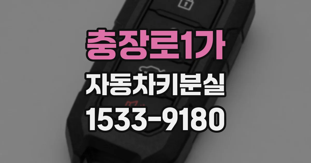 충장로1가 자동차키분실