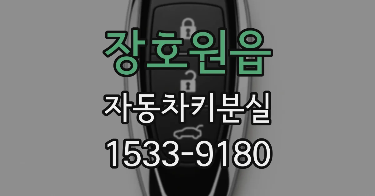 장호원읍 자동차키분실