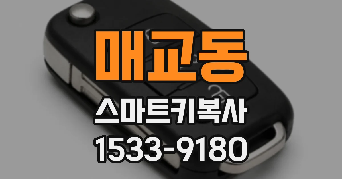 매교동 스마트키복사