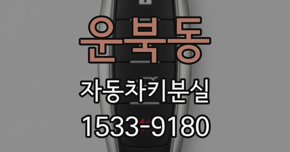 운북동 자동차키분실