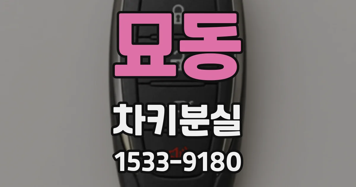 묘동 차키분실