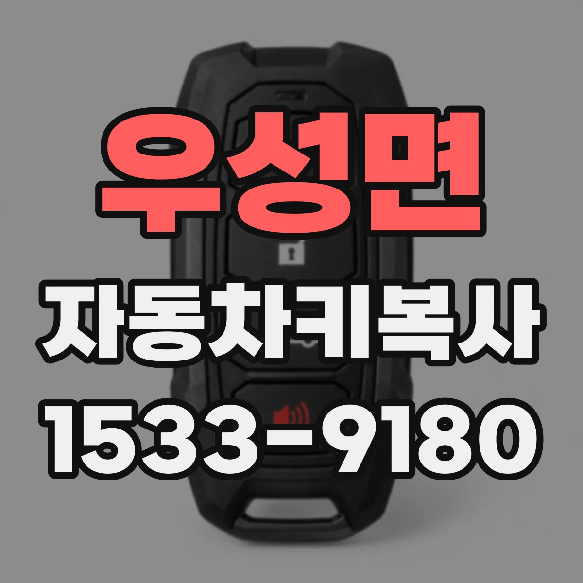 우성면 자동차키복사