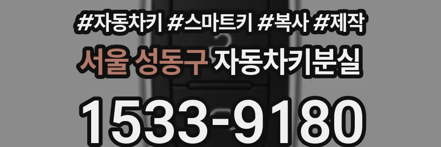 서울 성동구 자동차키분실