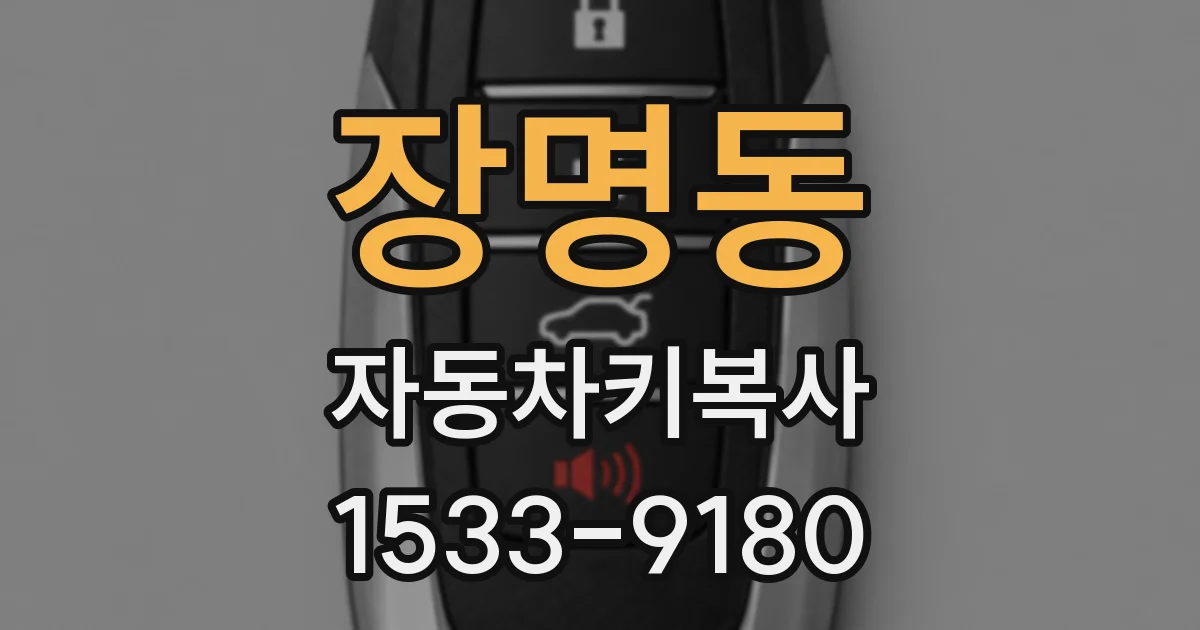 장명동 자동차키복사