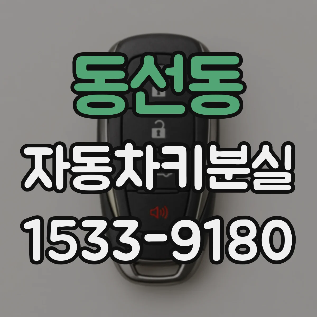 동선동 자동차키분실