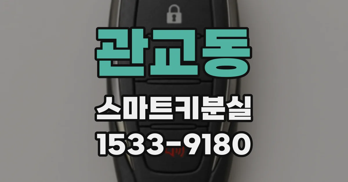 관교동 스마트키분실