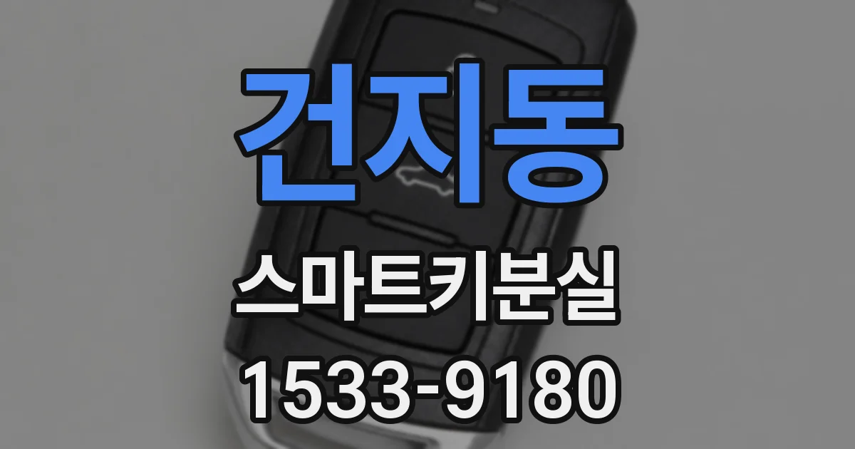 건지동 스마트키분실