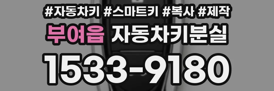 부여읍 자동차키분실