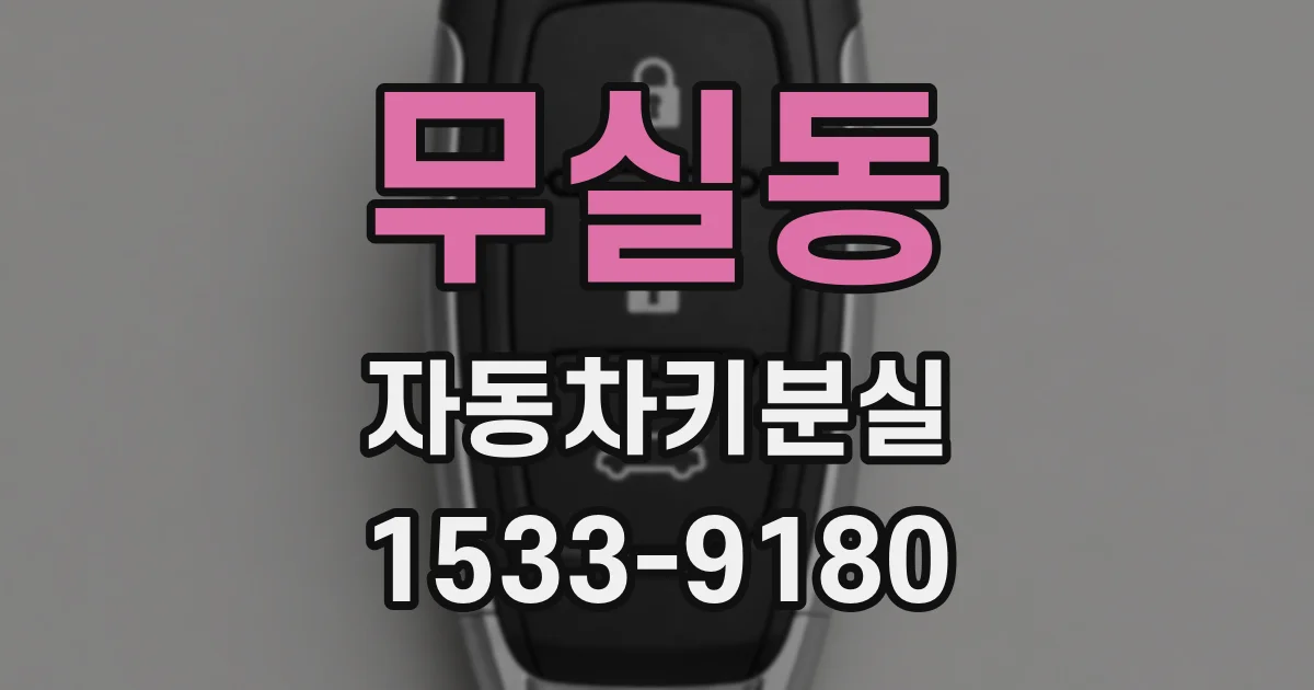무실동 자동차키분실