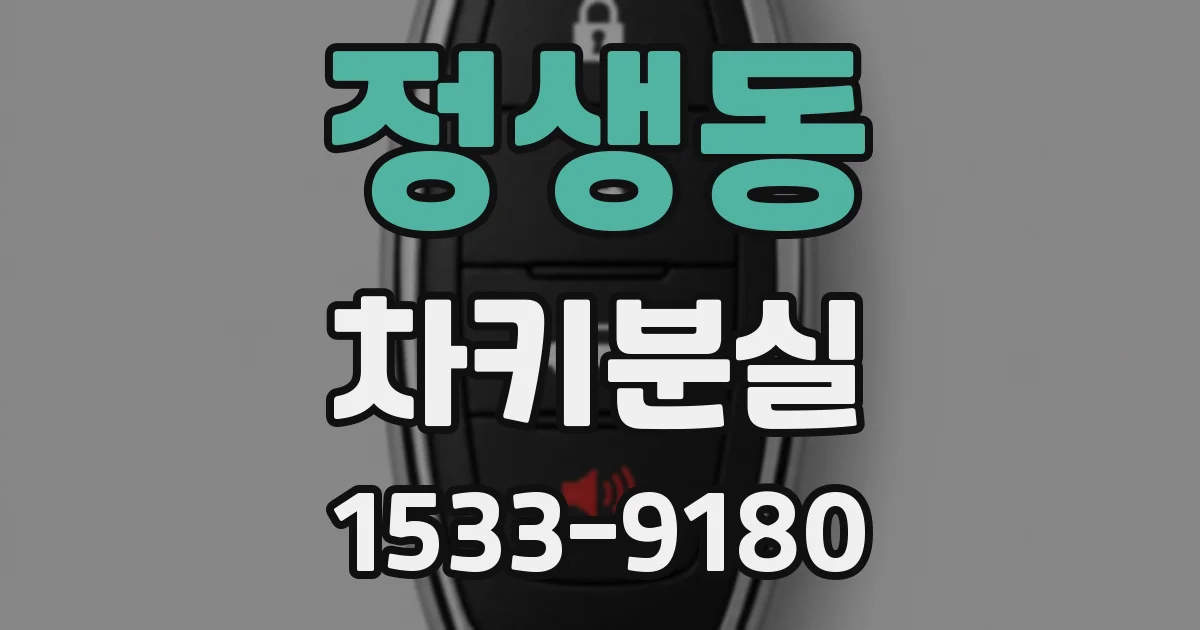 정생동 차키분실
