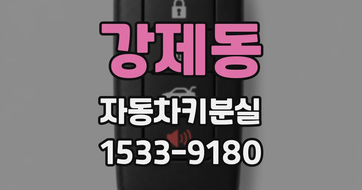 강제동 자동차키분실