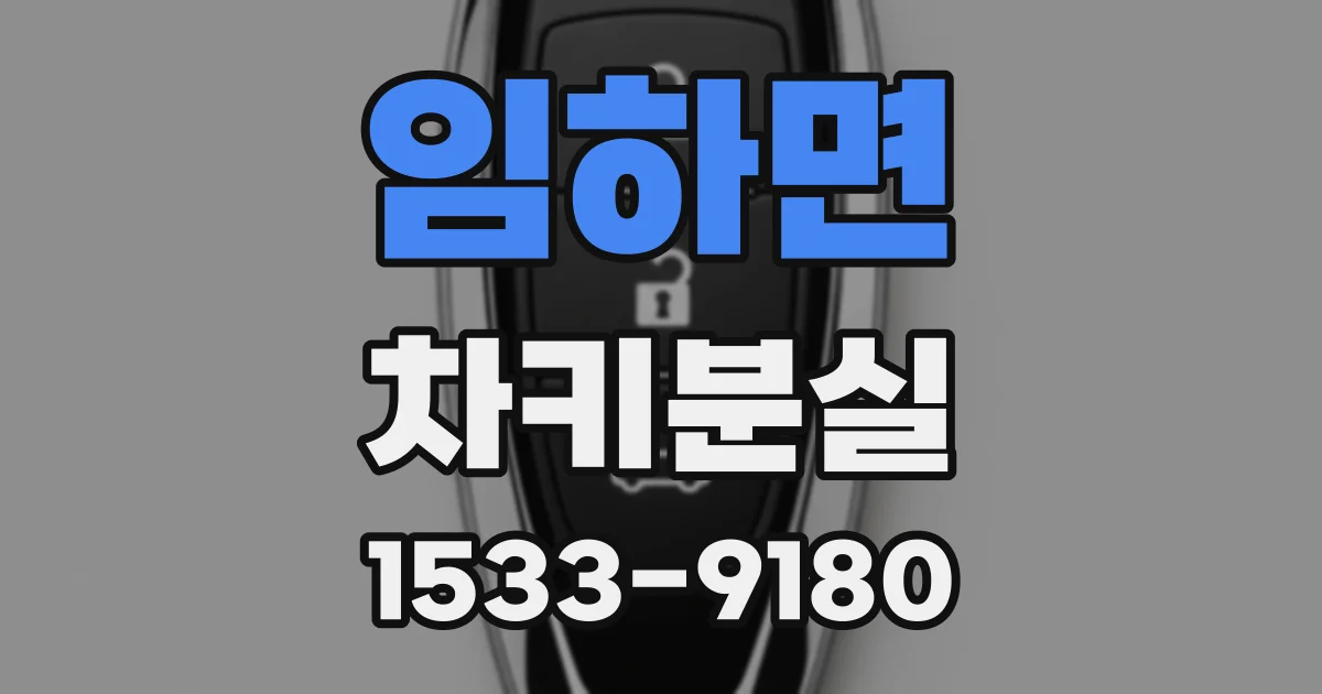 임하면 차키분실
