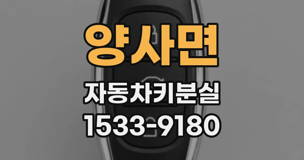 양사면 자동차키분실