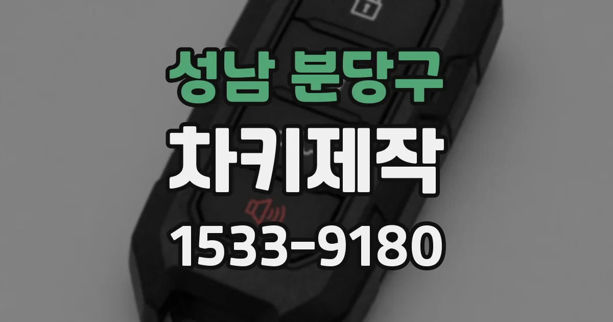 성남 분당구 차키제작