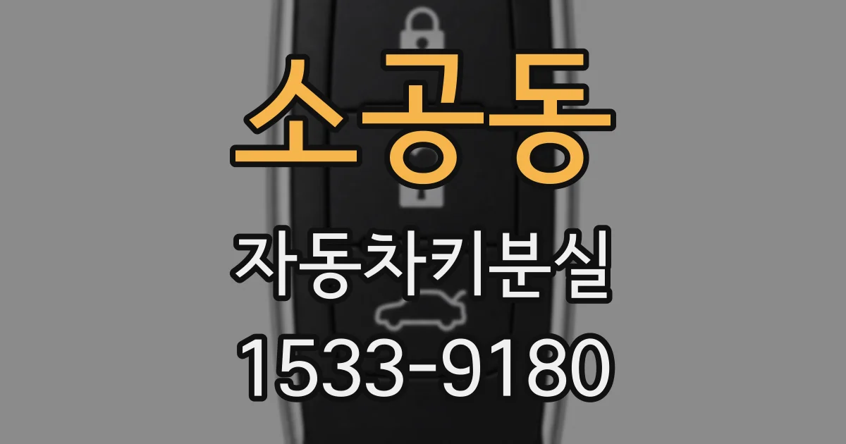 소공동 자동차키분실