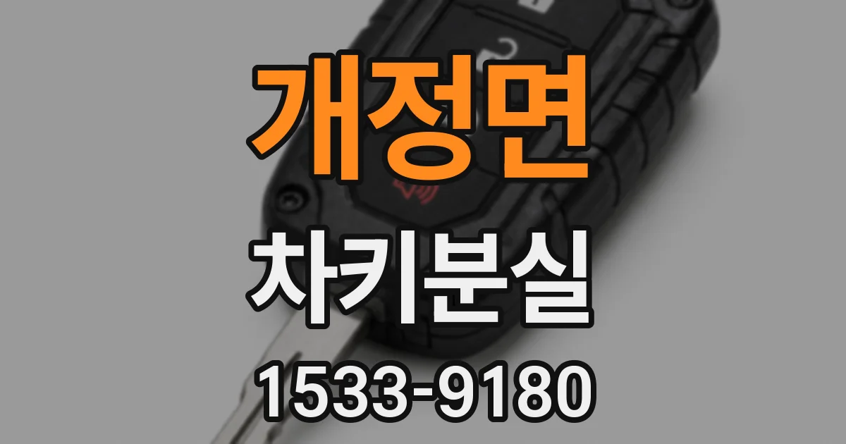 개정면 차키분실