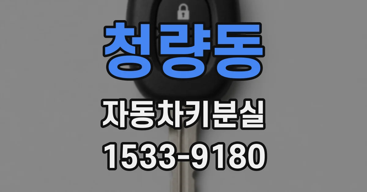청량동 자동차키분실