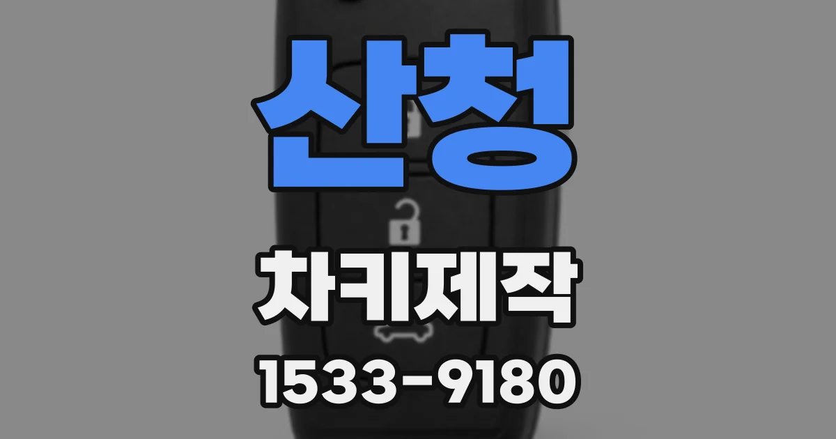 산청 차키제작