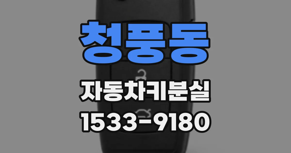 청풍동 자동차키분실