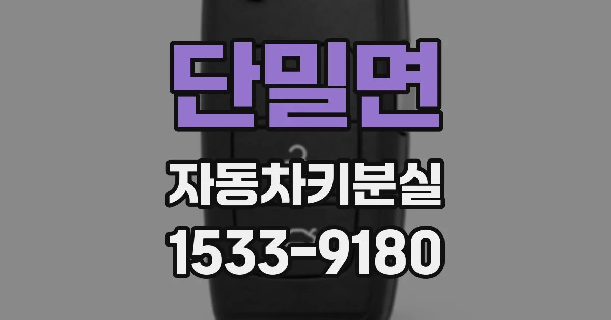 단밀면 자동차키분실