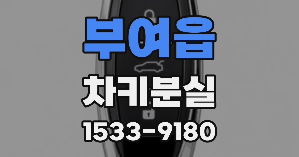 부여읍 차키분실
