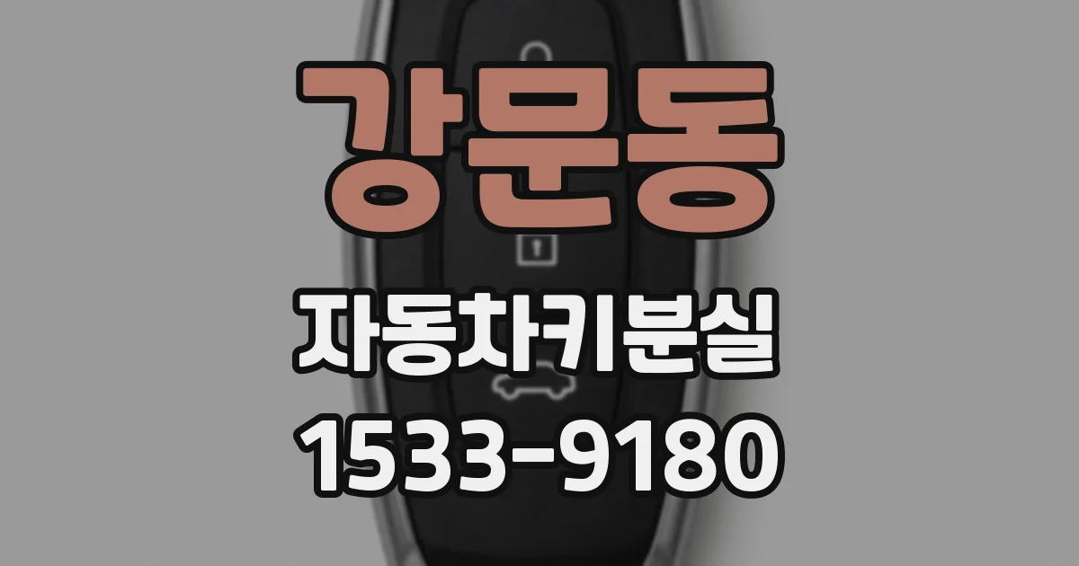 강문동 자동차키분실