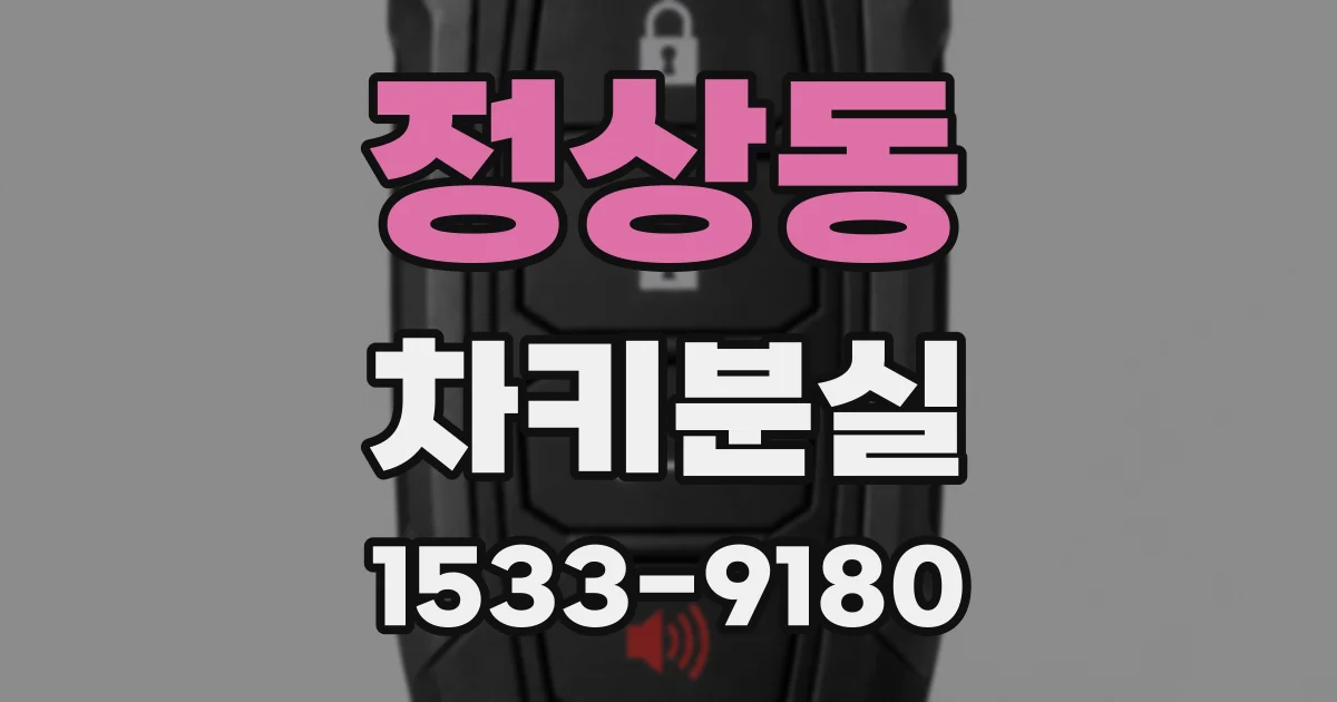 정상동 차키분실