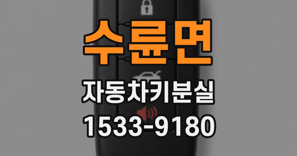 수륜면 자동차키분실