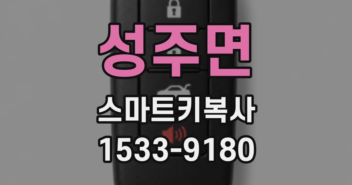 성주면 스마트키복사