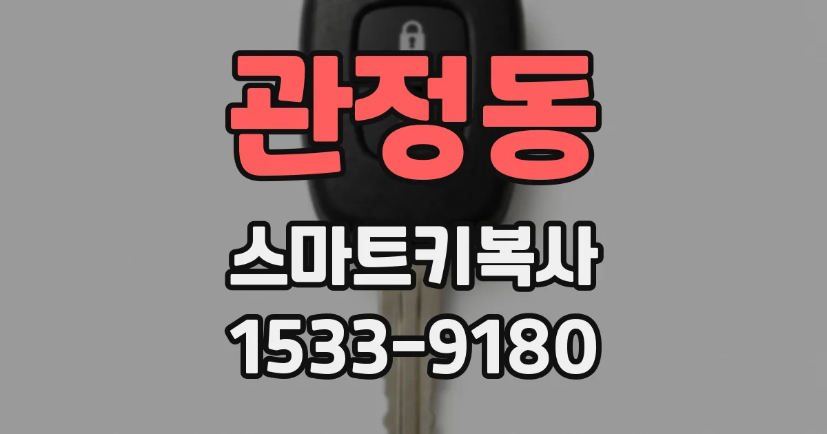 관정동 스마트키복사