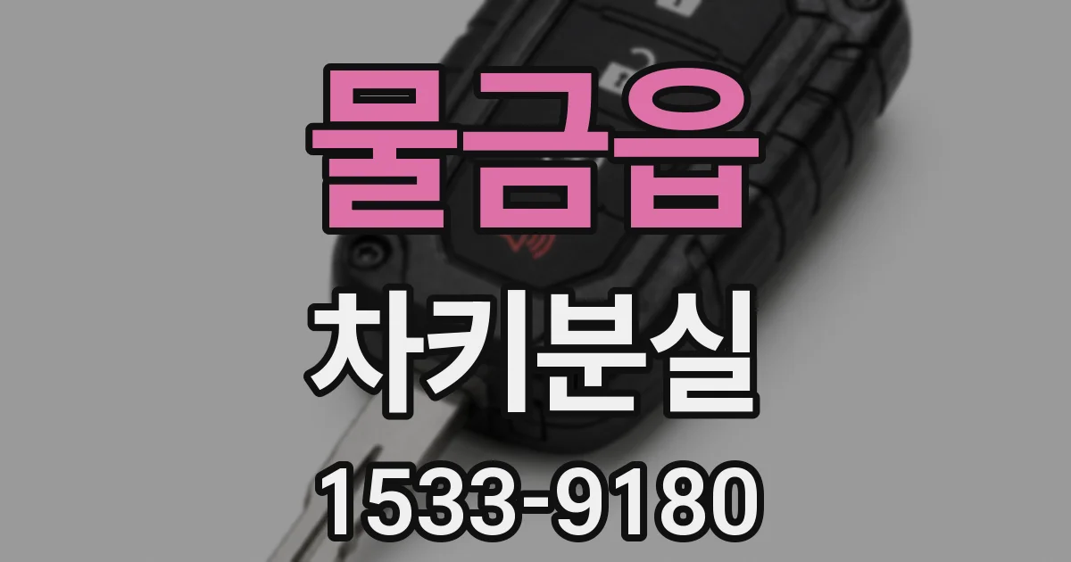 물금읍 차키분실