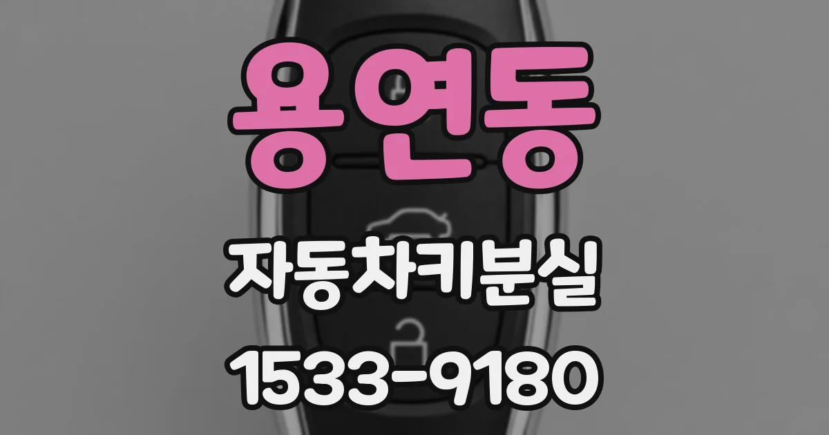용연동 자동차키분실