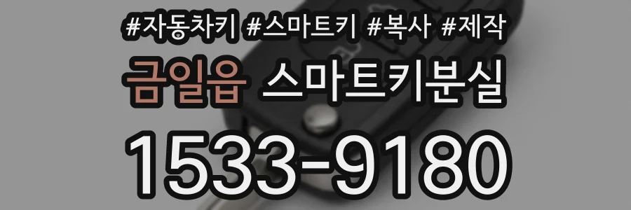 금일읍 스마트키분실