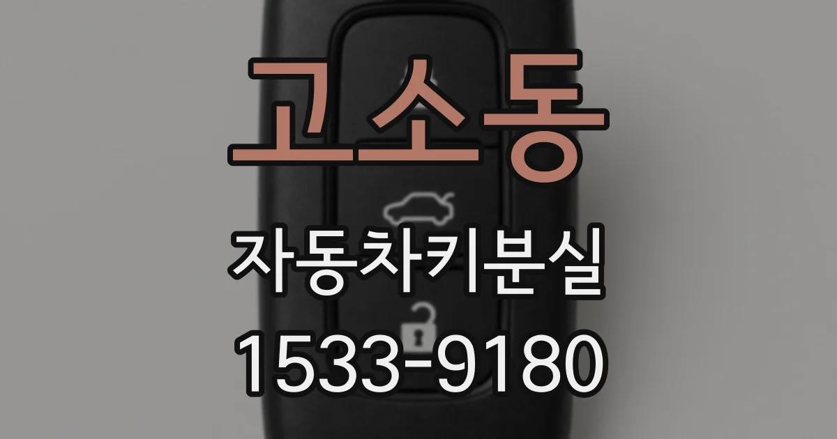 고소동 자동차키분실