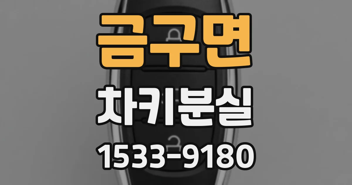 금구면 차키분실