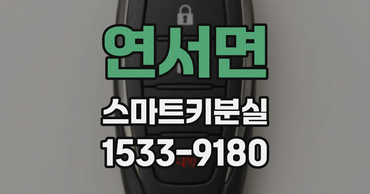연서면 스마트키분실