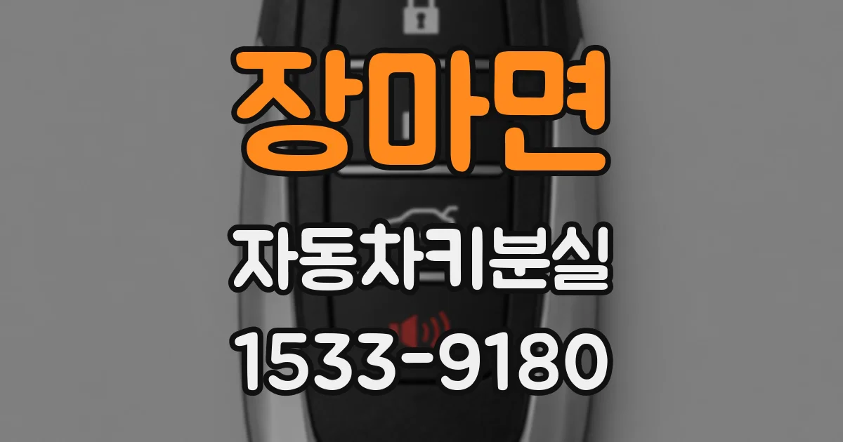 장마면 자동차키분실