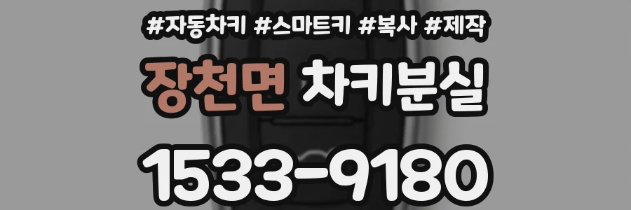 장천면 차키분실