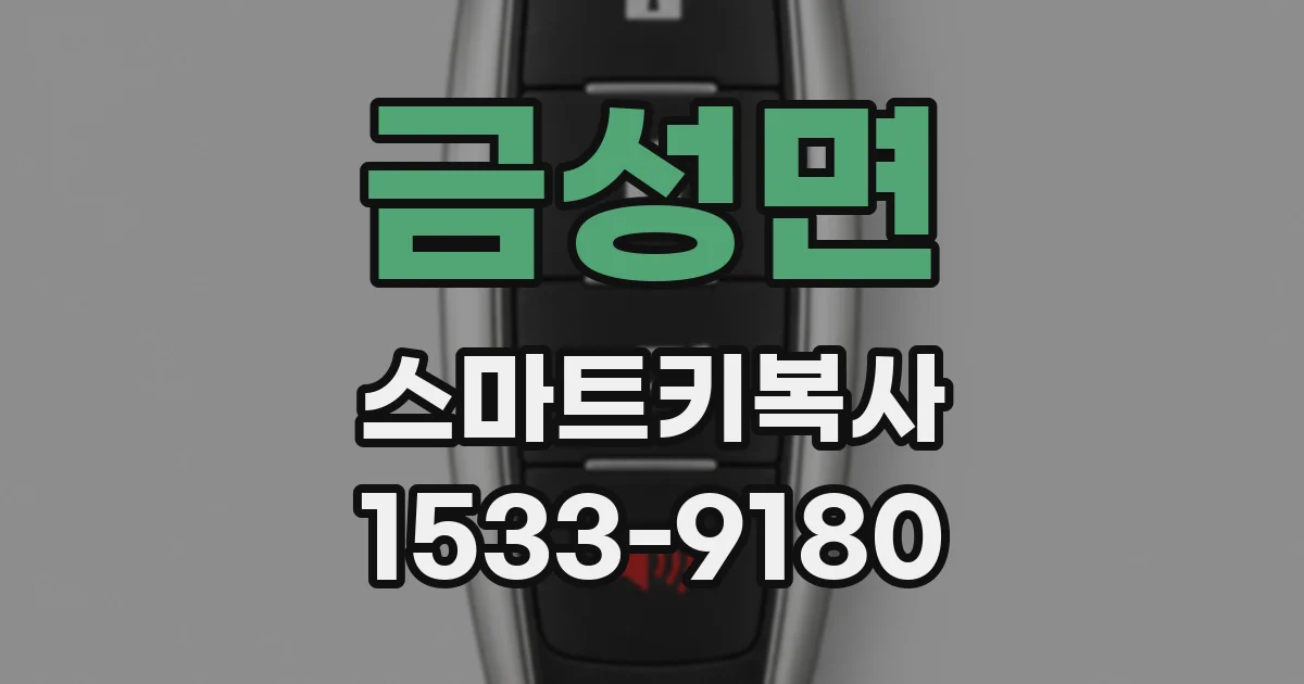 금성면 스마트키복사