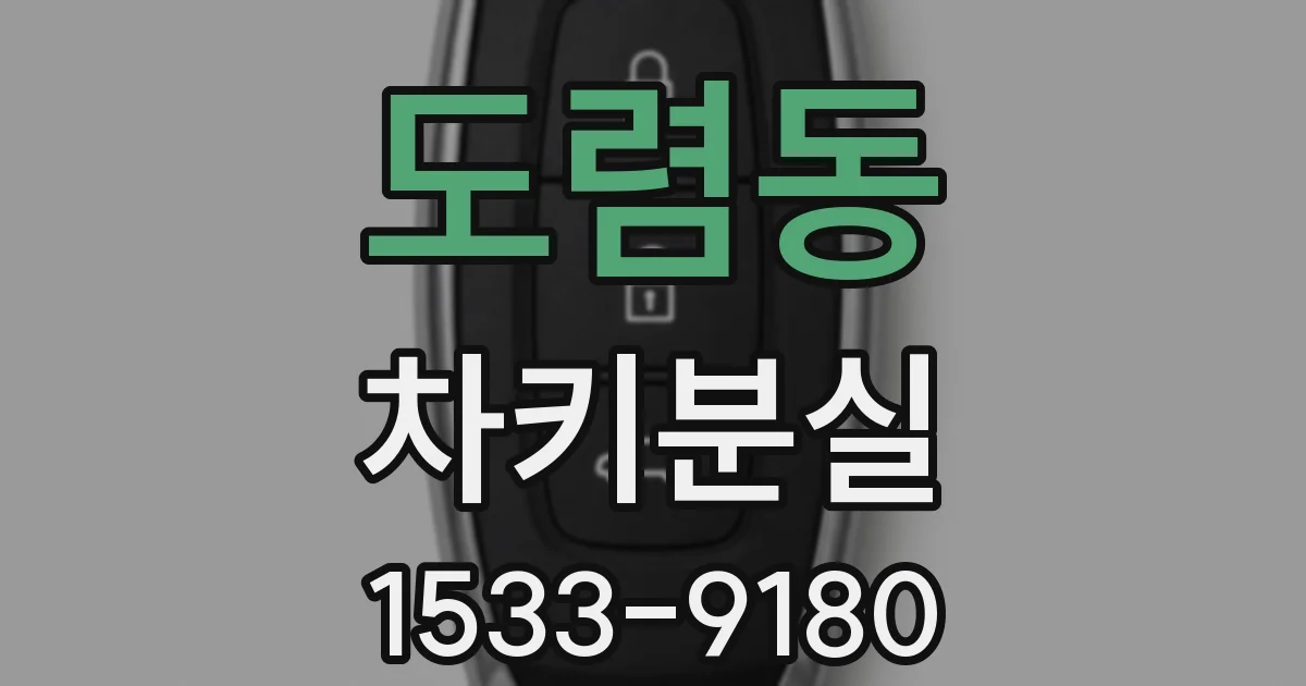 도렴동 차키분실