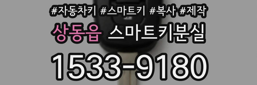 상동읍 스마트키분실