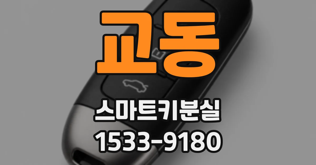 교동 스마트키분실