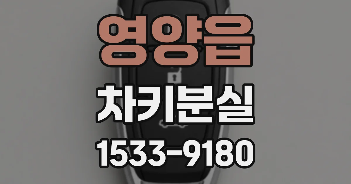 영양읍 차키분실