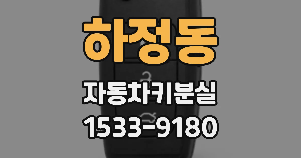 하정동 자동차키분실